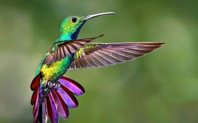 La métaphore : clé d’une communication réussie