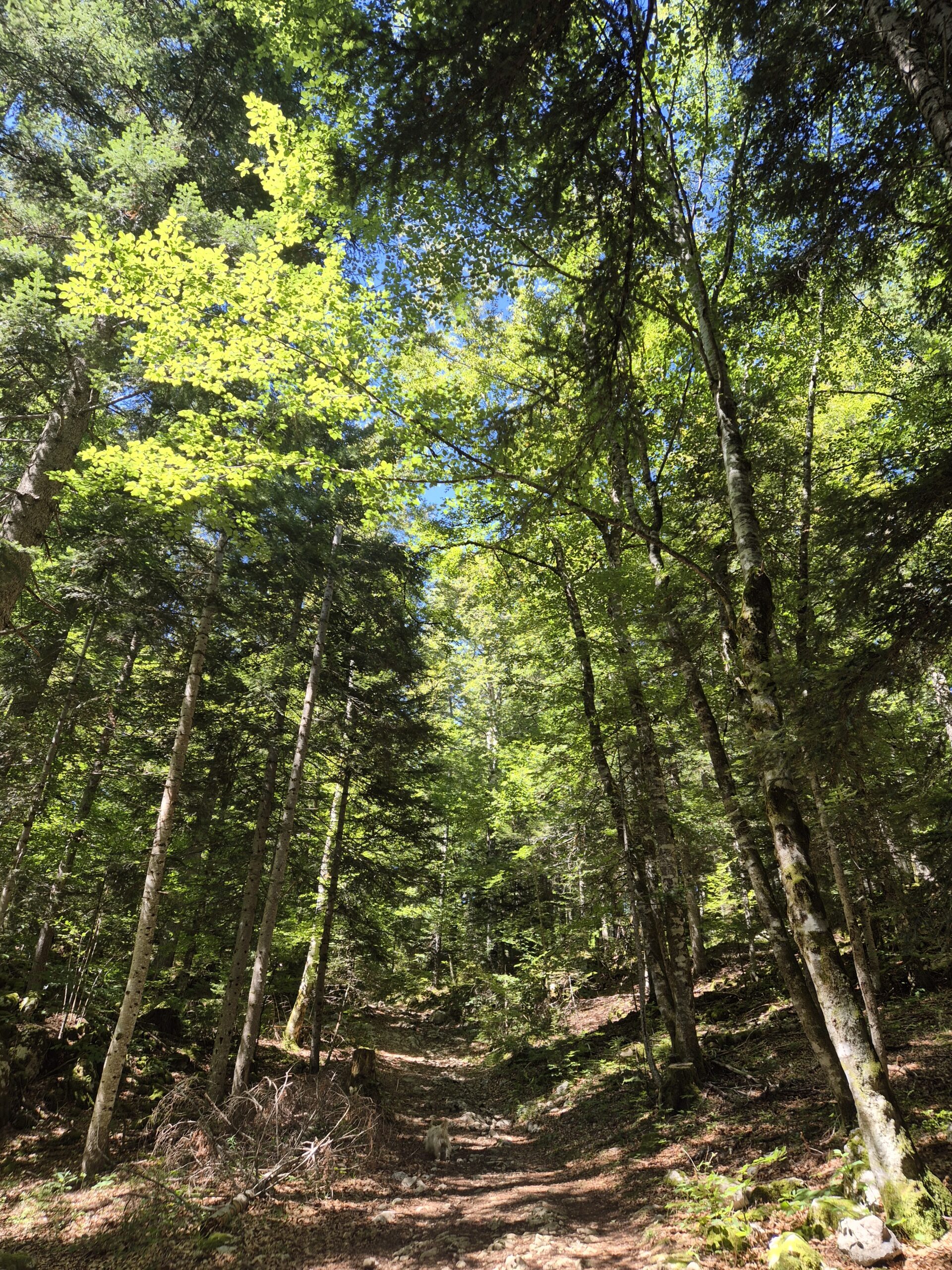Aller vers l’autre : un chemin devenu difficile ? par Corinne Blanc-Faugère, Experte en relations humaines